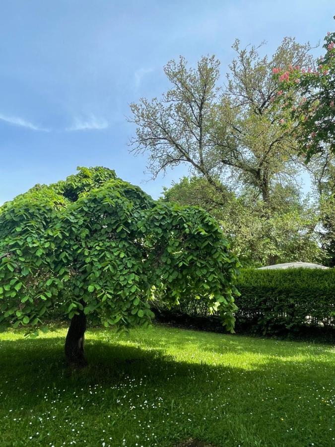 Villa Mura Gite Luxe Avec Piscine Et Spa Campagne Et Grand Air Nouvelle Aquitaine Correze Neuvic  Luaran gambar